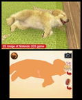 Nintendogs + Cats: Golden Retriever & New Friends thumbnail 3
