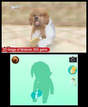 Nintendogs + Cats: Toy Poodle & New Friends
