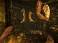 Amnesia: The Dark Descent (DVD-ROM) thumbnail 11