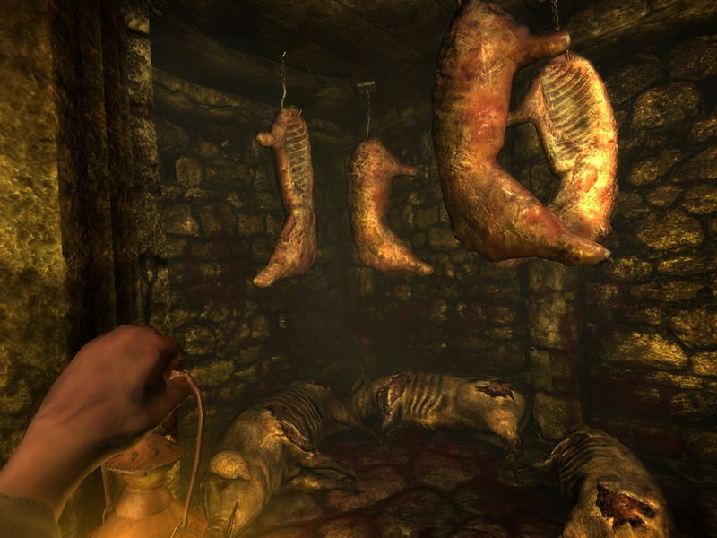 Amnesia: The Dark Descent (DVD-ROM) image 11