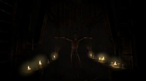 Amnesia: The Dark Descent (DVD-ROM)_