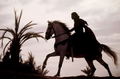 Kingdom of Heaven thumbnail 6