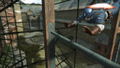 Captain America: Super Soldier thumbnail 9
