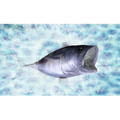 Fish Eyes 3D thumbnail 3