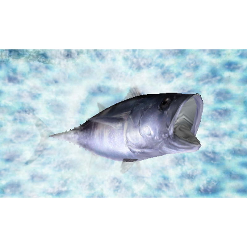 Fish Eyes 3D image 3
