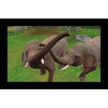 Zoo Resort thumbnail 6