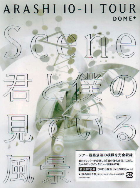 Arashi 10-11 Tour Scene - Kimi To Miteiru Fukei - Dome [Limited Edition] image 1