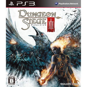 Dungeon Siege 3_