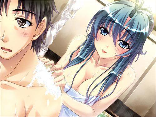 Sekai De Ichiban NG na Koi: Full House image 2
