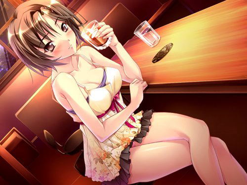 Sekai De Ichiban NG na Koi: Full House image 4