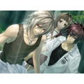 Sokukoku no Kusabi: Hiiro no Kakera 3 DS thumbnail 2