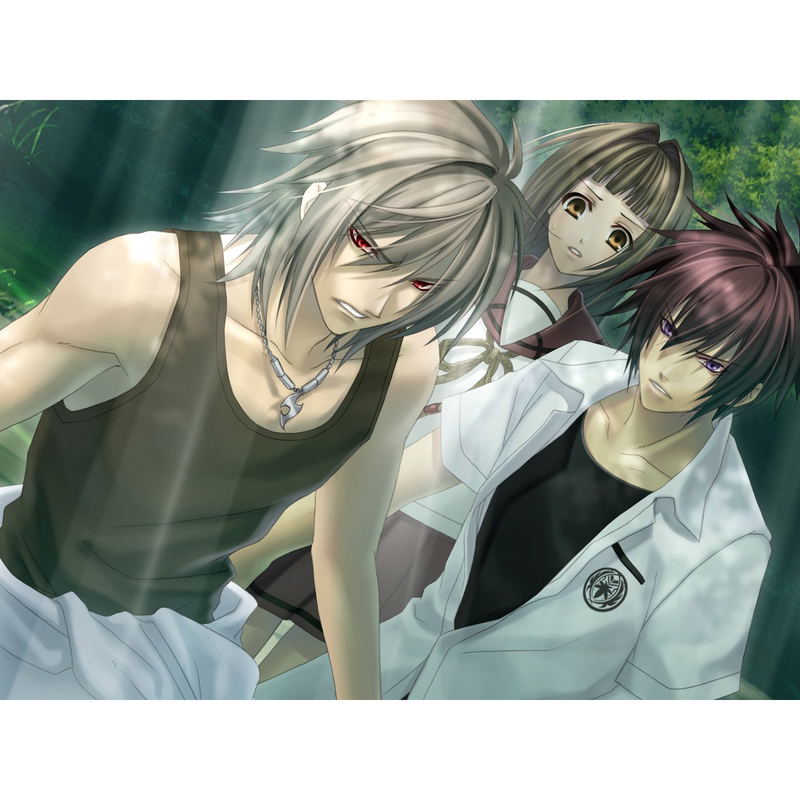 Sokukoku no Kusabi: Hiiro no Kakera 3 DS image 2