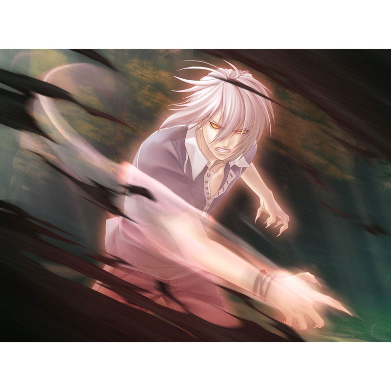 Sokukoku no Kusabi: Hiiro no Kakera 3 DS image 4