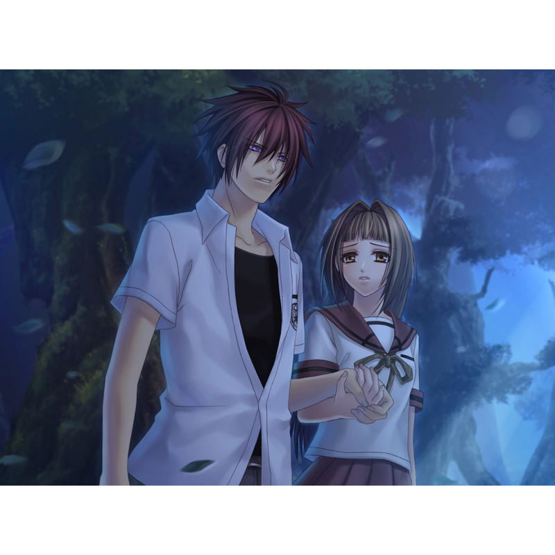 Sokukoku no Kusabi: Hiiro no Kakera 3 DS image 9