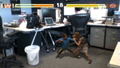 Reality Fighters thumbnail 5