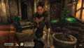 Elder Scrolls IV: Oblivion (5th Anniversary) thumbnail 7
