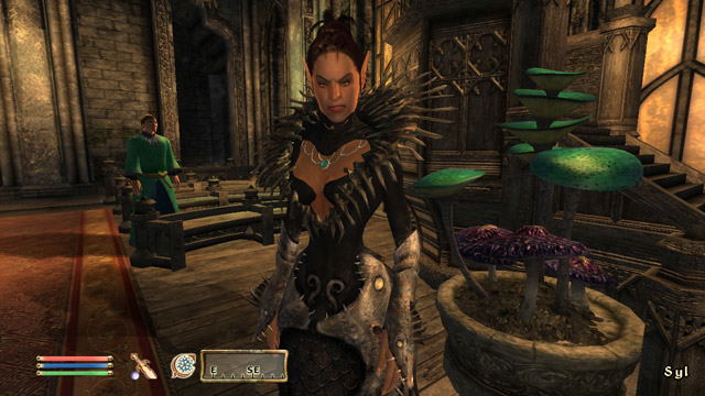 Elder Scrolls IV: Oblivion (5th Anniversary) image 7