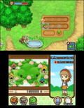 Harvest Moon: The Tale of Two Towns thumbnail 11
