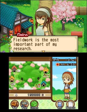 Harvest Moon: The Tale of Two Towns_