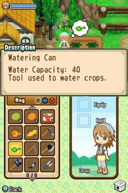 Harvest Moon: The Tale Of Two Towns image 10