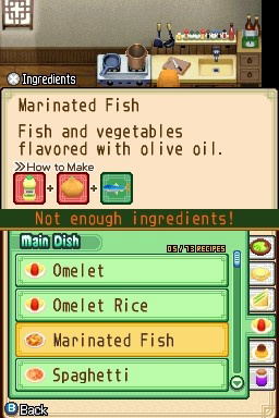 Harvest Moon: The Tale Of Two Towns image 3