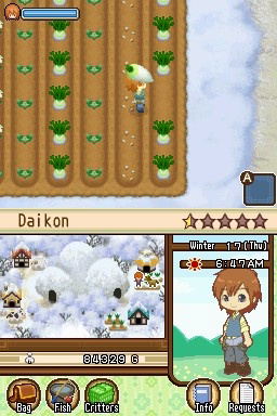Harvest Moon: The Tale Of Two Towns image 4
