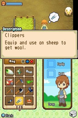 Harvest Moon: The Tale Of Two Towns image 5