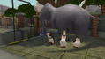 Penguins of Madagascar: Dr. Blowhole Returns thumbnail 3
