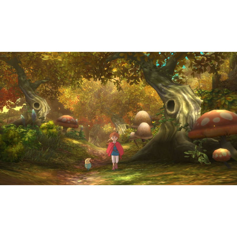 Ninokuni: Shiroki Seihai no Joou image 2