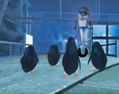 Penguins of Madagascar: Dr. Blowhole Returns thumbnail 2