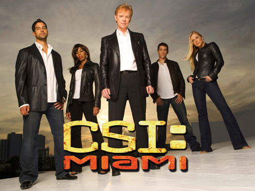C.S.I.: MIAMI [Season 7] image 1