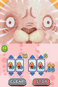 Usavichi: Game no Jikan [Limited Edition] thumbnail 2