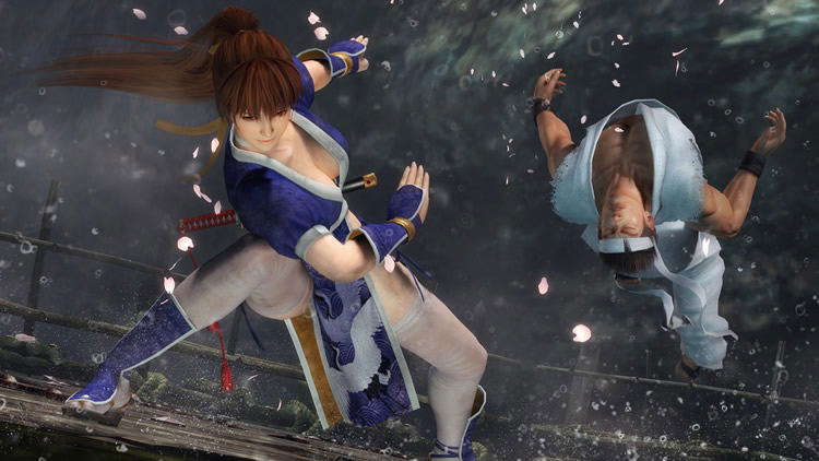 Dead or Alive 5 image 12