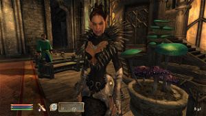Elder Scrolls IV: Oblivion (Game of the Year Edition)