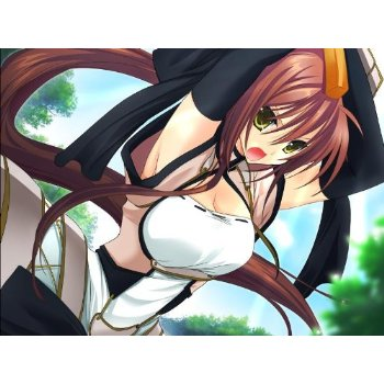 Sengoku Hime: Senran ni Mau Otometachi (System Soft Selection) image 2