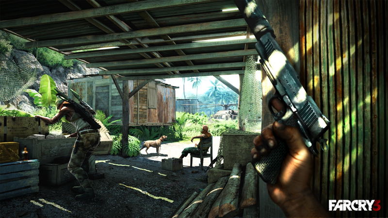 Far Cry 3 (DVD-ROM) image 12