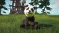 Kinectimals: Now With Bears thumbnail 5