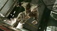 Amazing Spiderman thumbnail 3