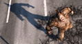 Amazing Spiderman thumbnail 4
