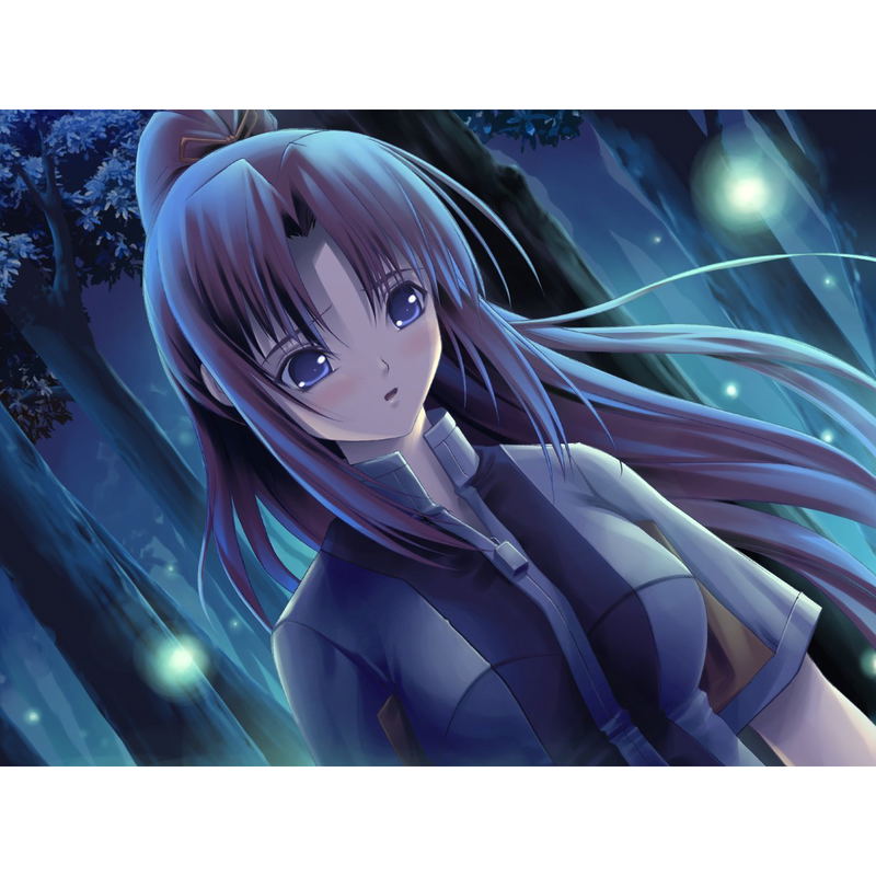 Eien no Aseria: Kono Daichi no Hate de [Limited Edition] image 4
