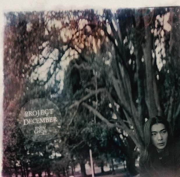 Project December [2CD: Limited Edition] image 1