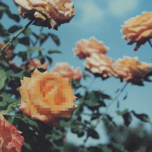 Relation [Limited Pressing] image 1