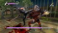 Ninja Gaiden Sigma Plus thumbnail 12