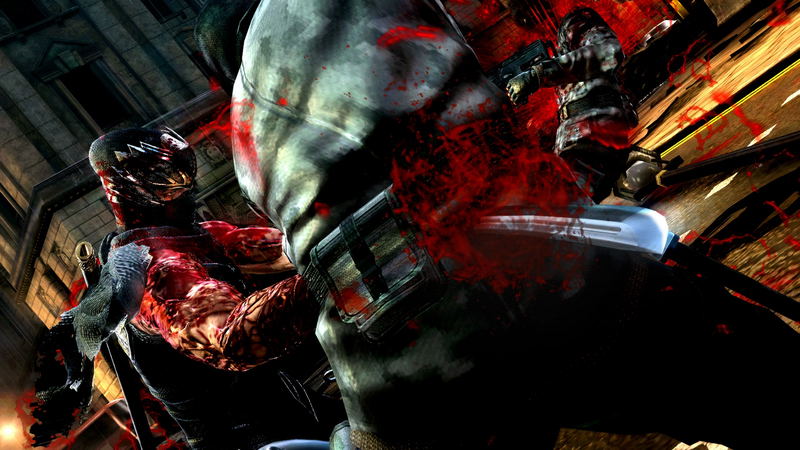 Ninja Gaiden 3 image 11