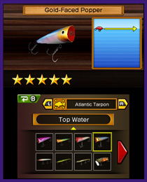 Reel Fishing Paradise 3D image 4