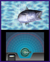 Reel Fishing Paradise 3D image 5