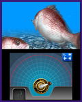Reel Fishing Paradise 3D thumbnail 8