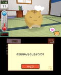 Poyo Poyo Kansatsu Nikki [Special Edition] thumbnail 3