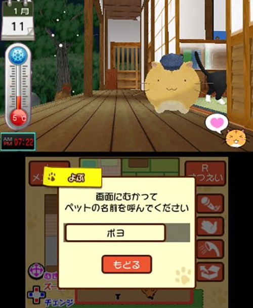 Poyo Poyo Kansatsu Nikki [Special Edition] image 4