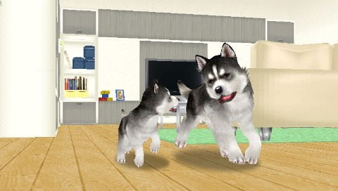 Petz: Dogz Family for Sony PSP